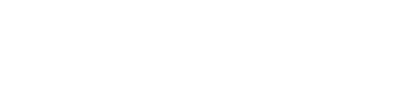Blueweb Software Solutions